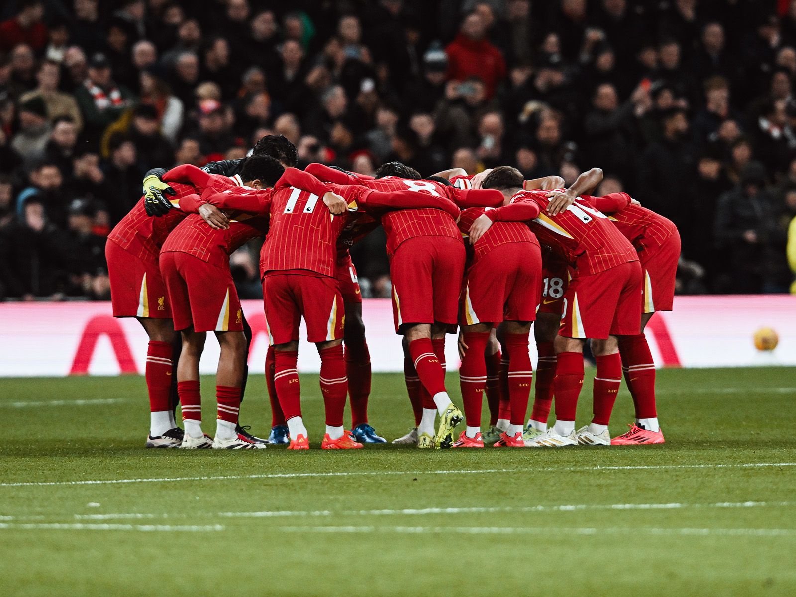 世界赛预选 世界赛预选